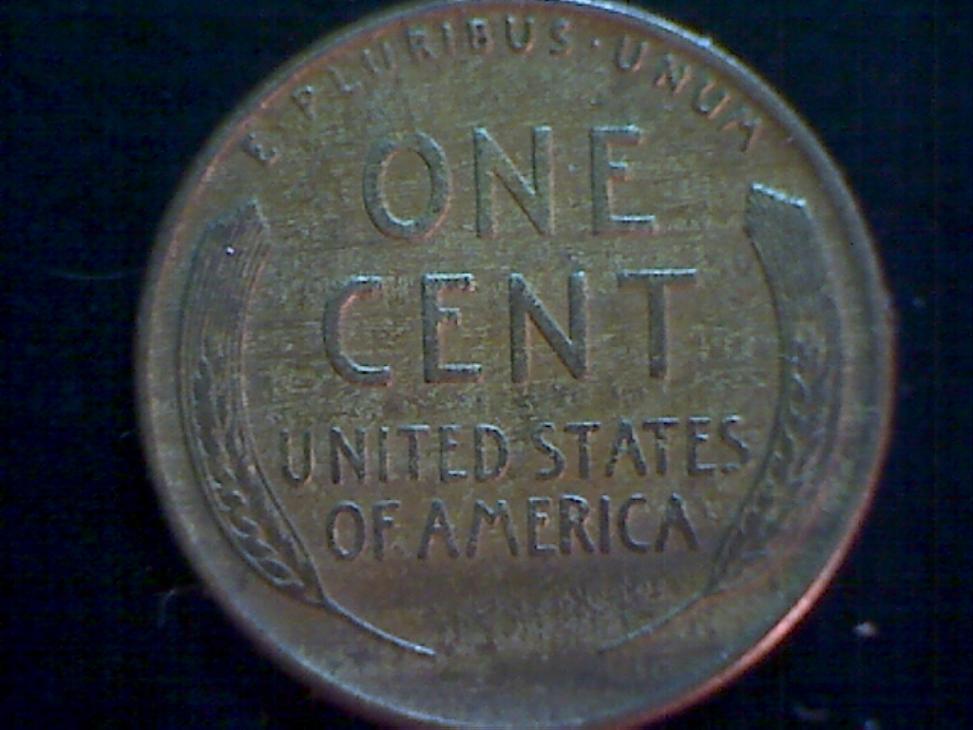 Wheatie-Woody-Lamination